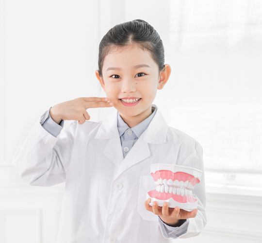 치과보험비교사이트